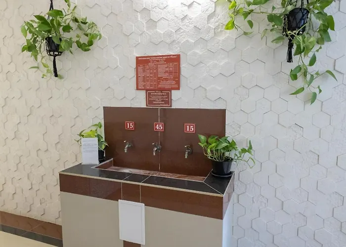 幻想曲酒店 酒店 波利亚纳