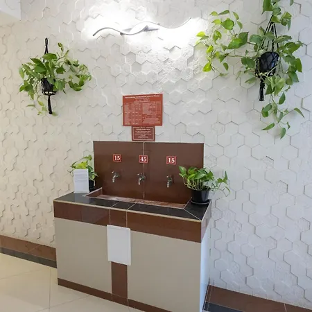 Fantasia Hotel Polyana (Transcarpathia)